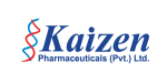 kaizen